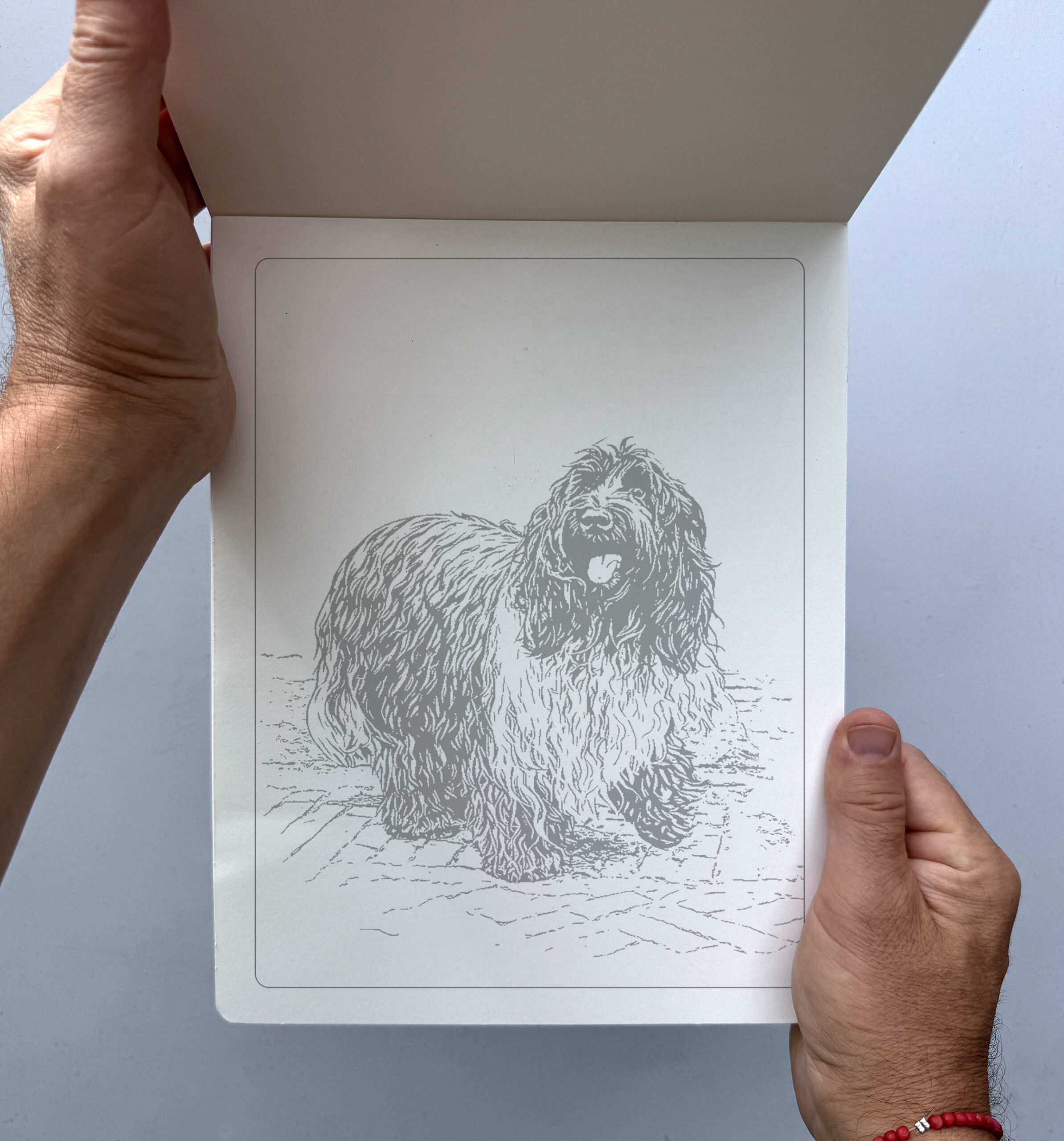 Persoonlijk Vivacolor kleurboek van eigen foto’s met grijze schetslijnen op premium papier