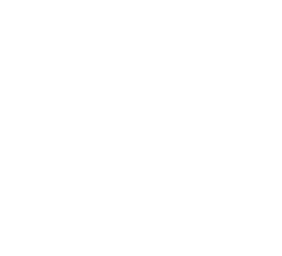 VivaColor.shop